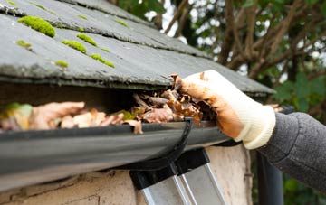 gutter cleaning Embo Street, Highland