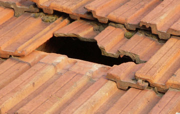 roof repair Embo Street, Highland